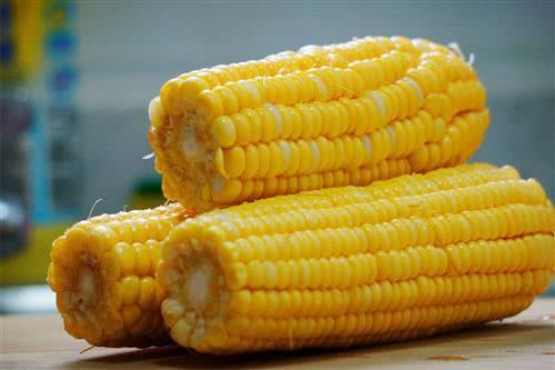 美洲来的玉米和红薯，能否拯救大明？