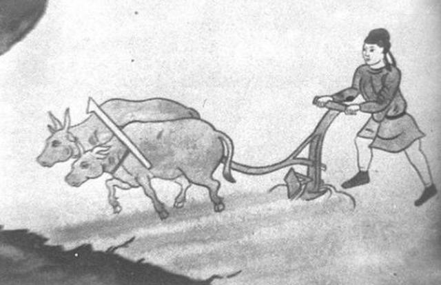 为啥中国古代私自宰杀耕牛是重罪？影响农业事小，怕造反才是重点